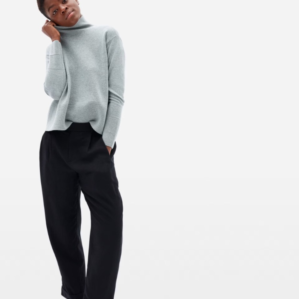 Everlane- The Put-Together Pleat Pant size 00
